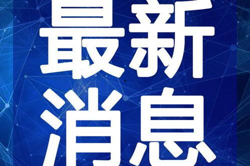 九菜夫妇最新爆料视频,甜蜜背后隐藏的秘密